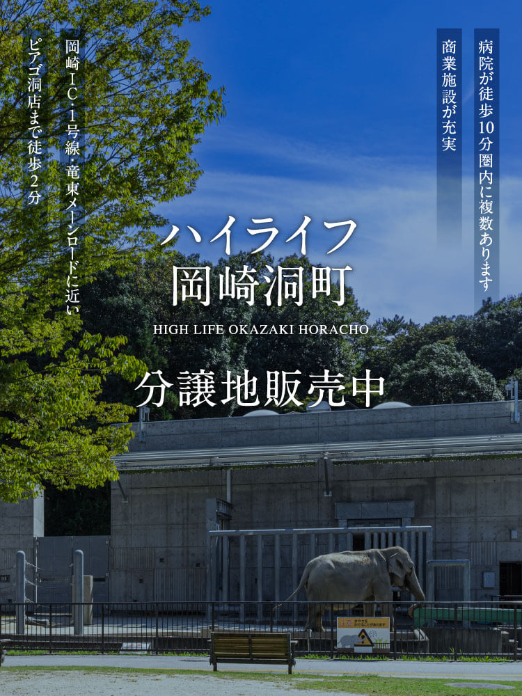 ハイライフ岡崎洞町分譲地販売中。ピアゴ洞店まで徒歩2分。岡崎ＩＣ・１号線・竜東メーンロードに近い。商業施設が充実。病院が徒歩10分圏内に複数あります。