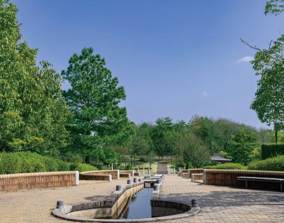 エイベックス播磨中央公園 風景