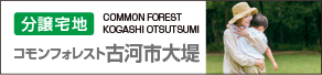 コモンフォレスト古河市大堤 分譲宅地