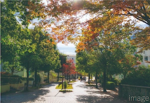 街の風景