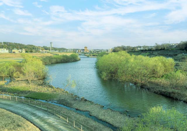 神奈川県立境川遊水地公園