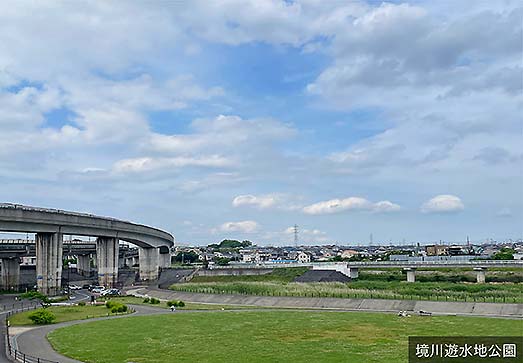 今田遊水地