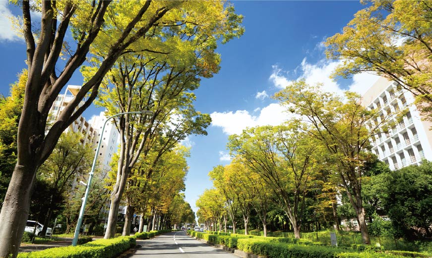 「航空公園」駅から東へのびる並木通り