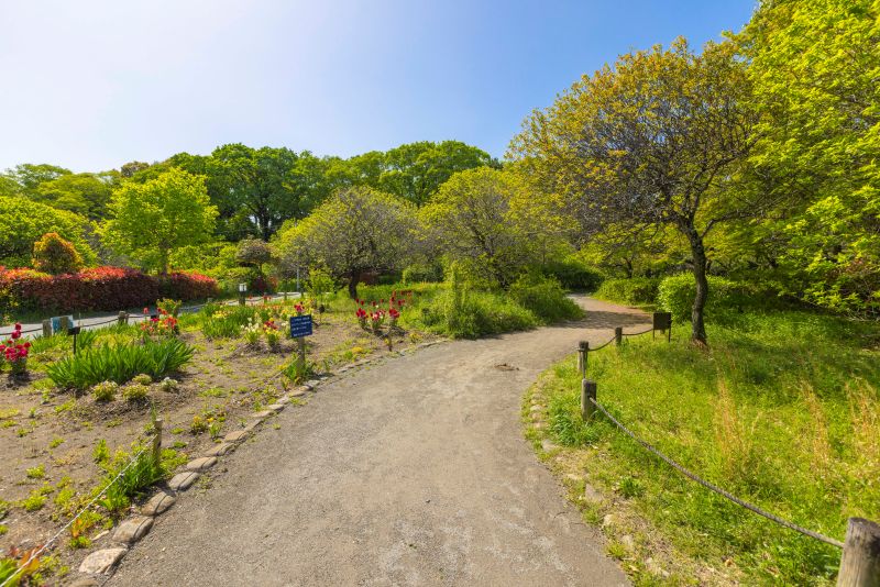 「越谷梅林公園」