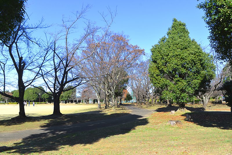 「杉戸西近隣公園」