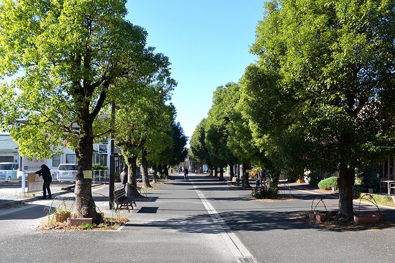 「杉戸高野台」駅につながる通り