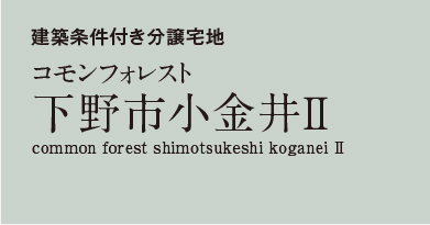 コモンフォレスト下野市小金井2 分譲宅地