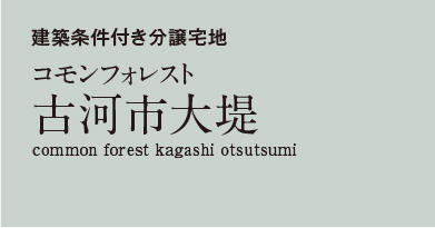 コモンステージ古河市大堤　分譲住宅