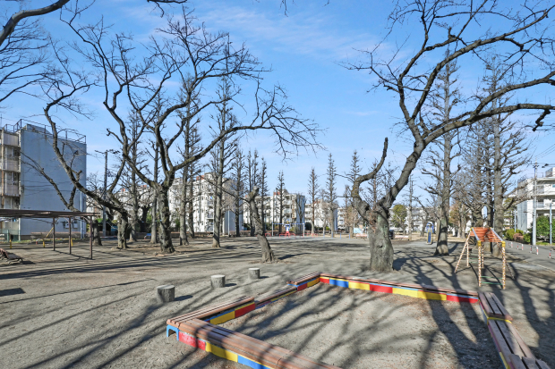 祖師谷住宅中央公園