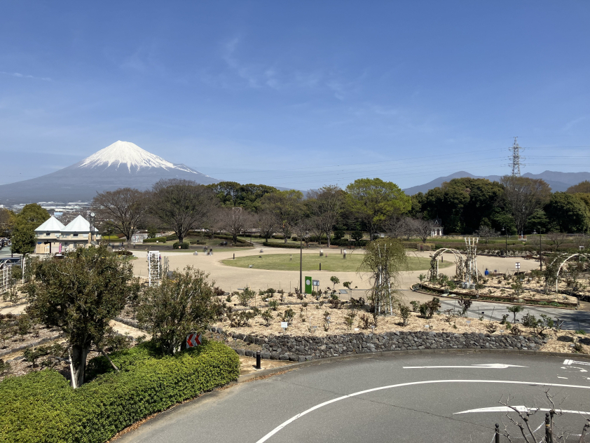 富士市中央公園