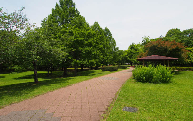 長岡公園