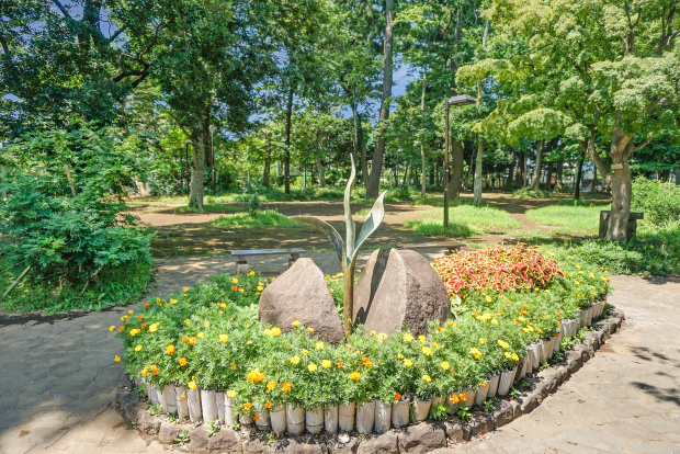 杉並区立宮前公園