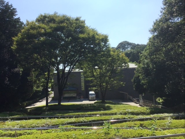 浜松市博物館