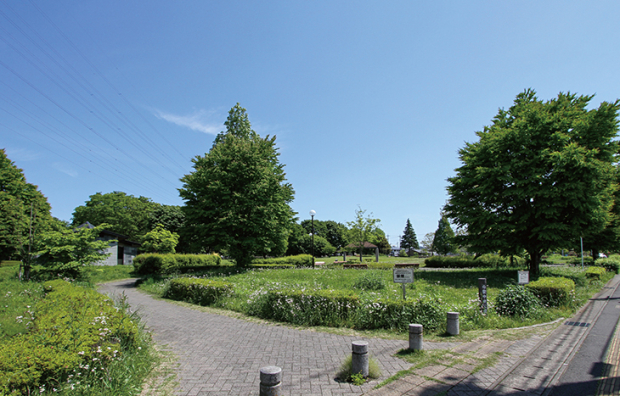 今泉中央公園