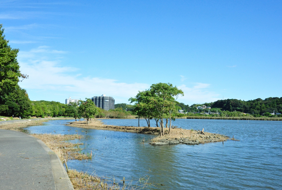 佐鳴湖公園