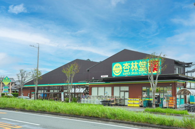 杏林堂大平台店