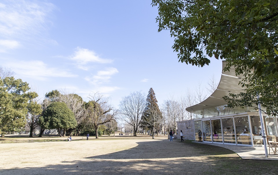 学びの森