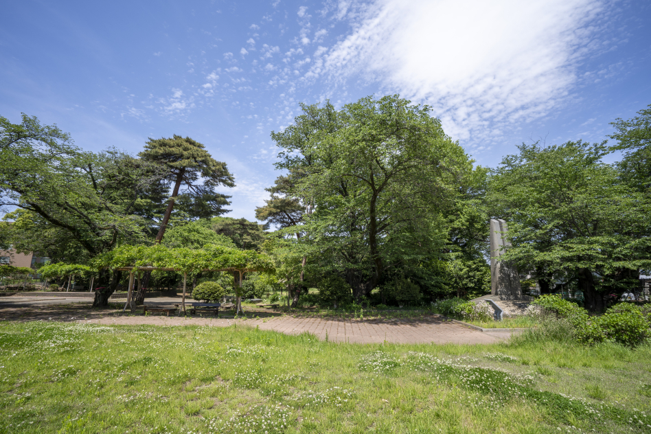 清瀬中央公園