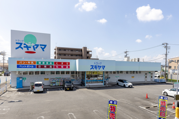 ドラッグスギヤマ 城東店