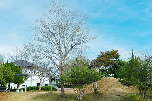 山麓公園