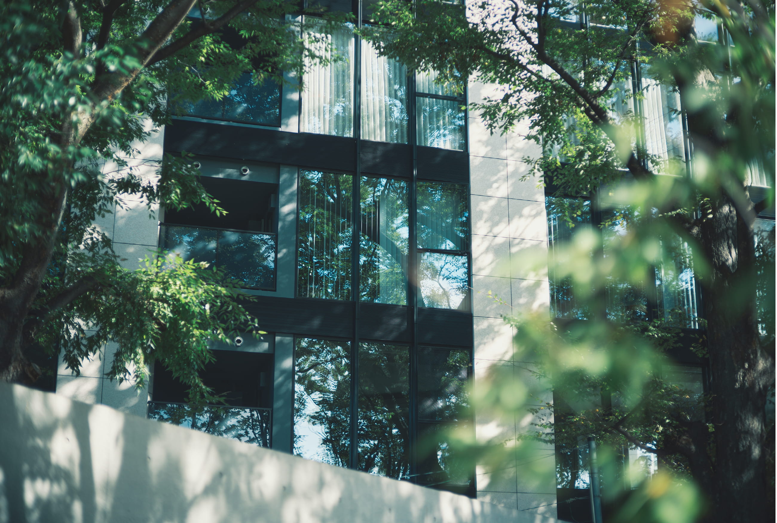 GRANDDE MAISONイメージ