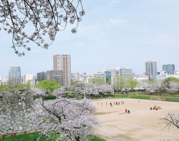 平和台陸上競技場 画像