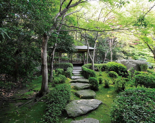 大濠公園日本庭園 画像