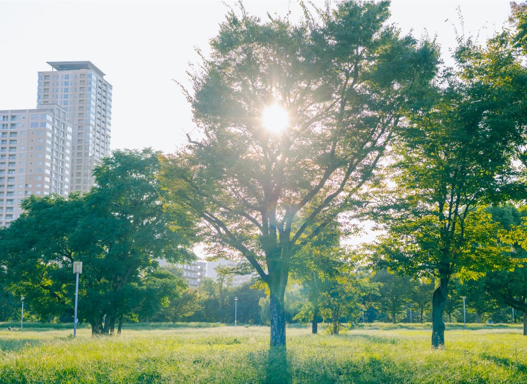 難波宮跡公園（徒歩6分・約420m）