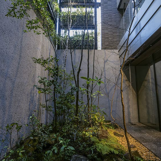 地下から3階まで4層をつらぬくコートには、日陰に強い藪椿などの植栽を設置。照明の効果で緑のつやを引き立て、地下空間を演出。