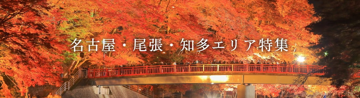 bnr_nagoya_autumn.png