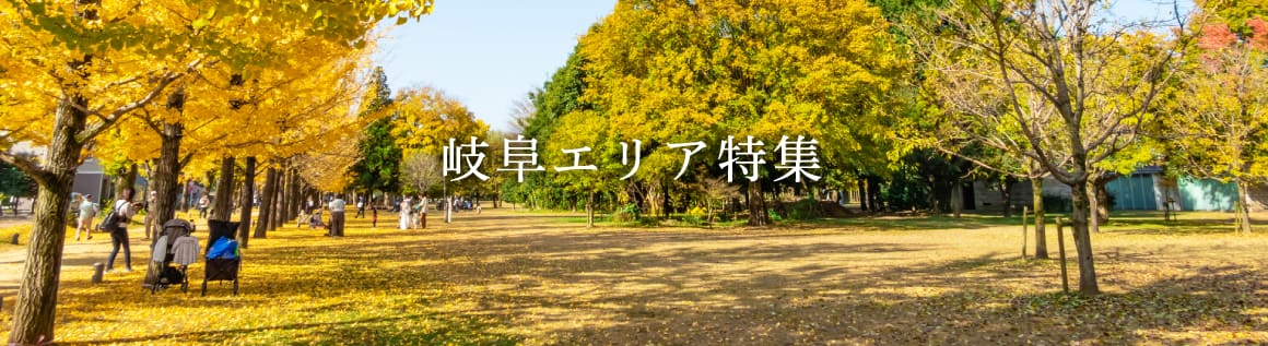 bnr_gifu_autumn.png