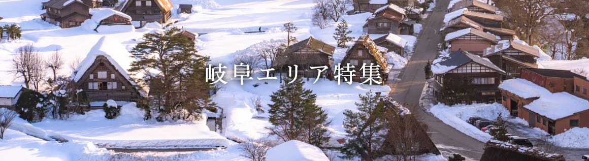 winter_gifu_area.png